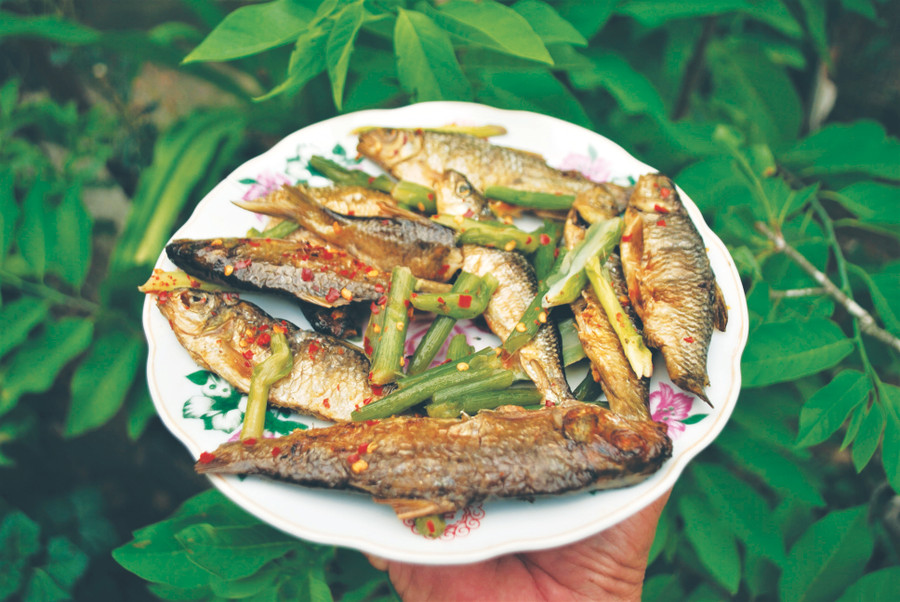 Đĩa cá niên xông khói kho với thiên niên kiện. Ảnh: Tiên Sa.