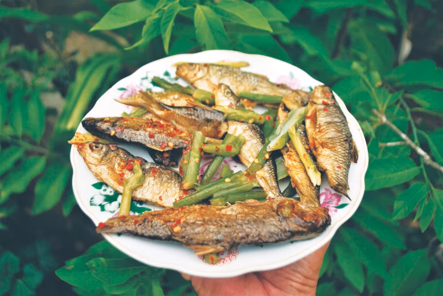 Đĩa cá niên xông khói kho với thiên niên kiện. Ảnh: Tiên Sa.