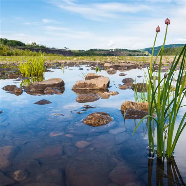 Một khu vực đa dạng sinh học được bảo vệ ở Canada.