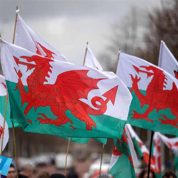 Những biểu tượng xinh đẹp xứ Wales ảnh 1