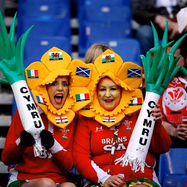 Những biểu tượng xinh đẹp xứ Wales ảnh 3