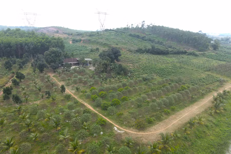 Những vườn đào phai hàng nghìn gốc ở xã Lưu Vĩnh Sơn. (Ảnh: T.H) Những vườn đào phai hàng nghìn gốc ở xã Lưu Vĩnh Sơn. (Ảnh: T.H)