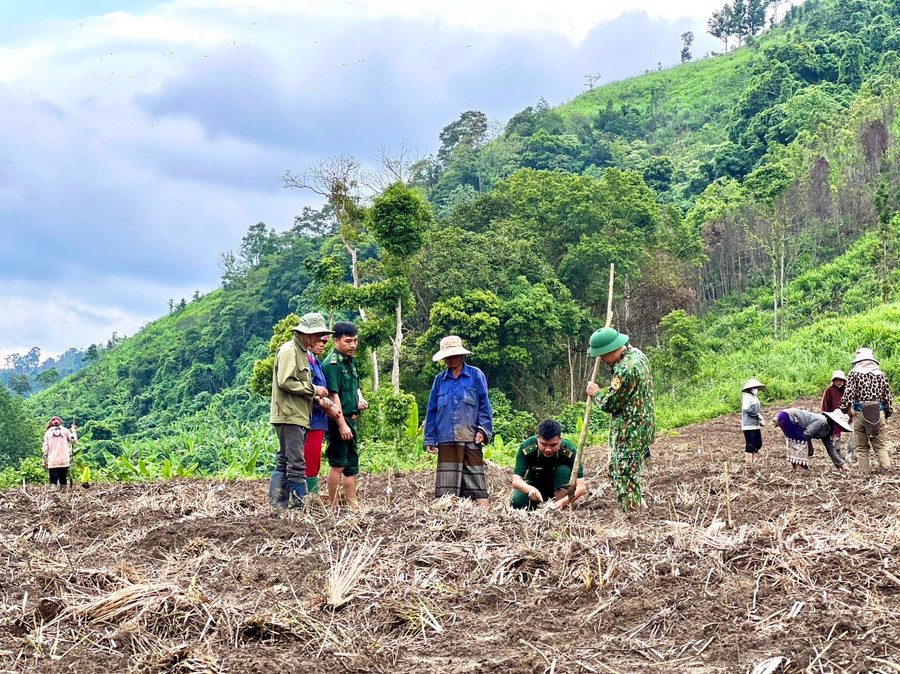 Bộ đội biên phòng hướng dẫn người dân quy trình sản xuất. Ảnh: Đăng Đức