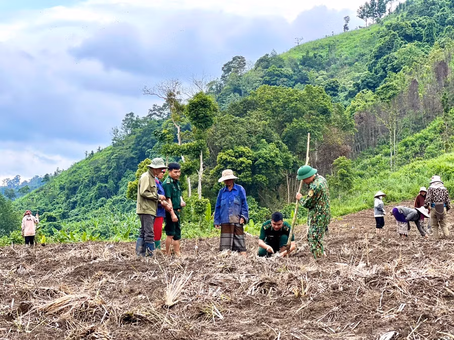 Bộ đội biên phòng hướng dẫn người dân quy trình sản xuất. Ảnh: Đăng Đức