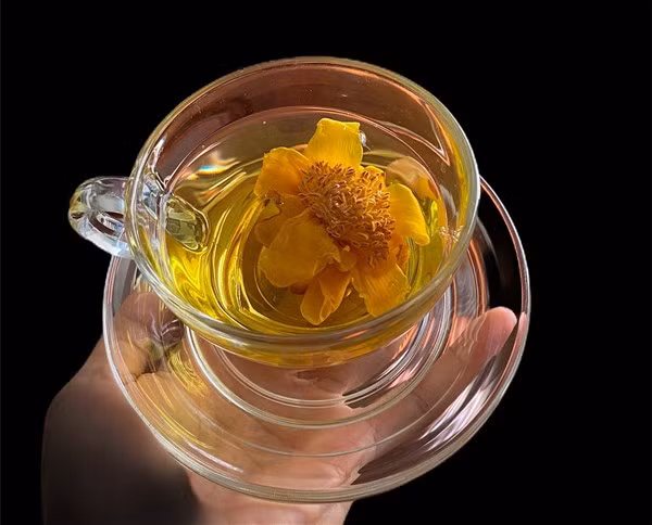 Trà hoa vàng phòng ngừa ung thư ảnh 1