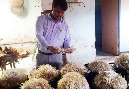 Số giá đỗ sử dụng chất cấm để tăng trưởng bị phát hiện. Ảnh: Nguyệt Triều Số giá đổ sử dụng chất cấm để tăng trưởng bị cơ quan chức năng tỉnh Bình Dương phát hiện. Ảnh: Nguyệt Triều