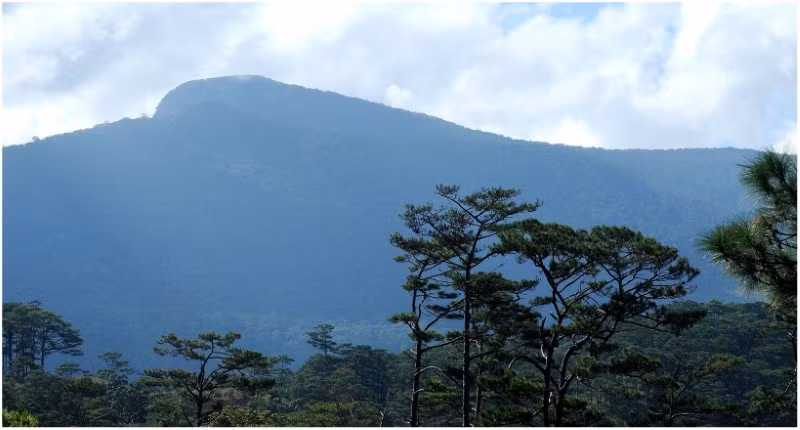 Khám phá Vườn quốc gia Bidoup - Núi Bà ảnh 4