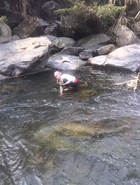 Bà con vùng Tây Bắc thường đi vớt rêu vào mùa xuân.