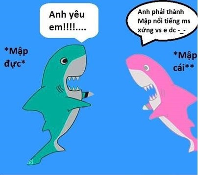 Cá mập cắn đứt cáp quang, dân mạng chế ảnh trút giận ảnh 6 Cá mập cắn đứt cáp quang, dân mạng chế ảnh trút giận ảnh 6