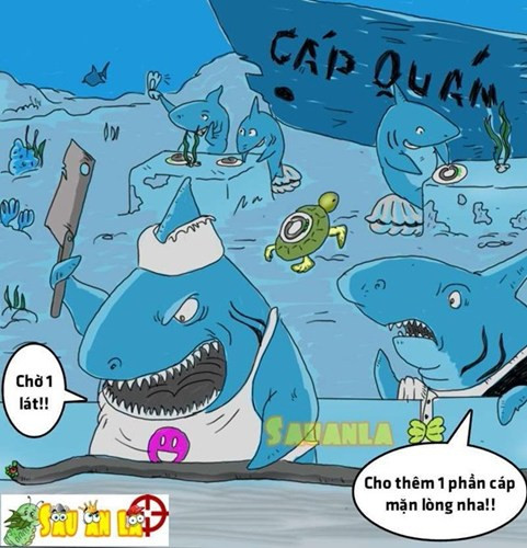Cá mập cắn đứt cáp quang, dân mạng chế ảnh trút giận ảnh 4 Cá mập cắn đứt cáp quang, dân mạng chế ảnh trút giận ảnh 4