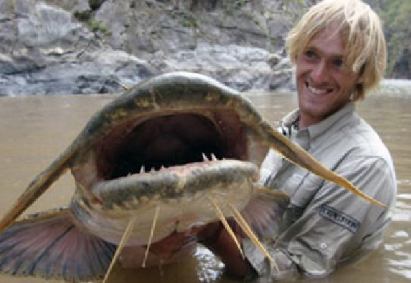 10 loài "quái vật" nước ngọt nguy hiểm nhất trên thế giới hình ảnh 3 10 loai "quai vat" nuoc ngot nguy hiem nhat tren the gioi hinh anh 3