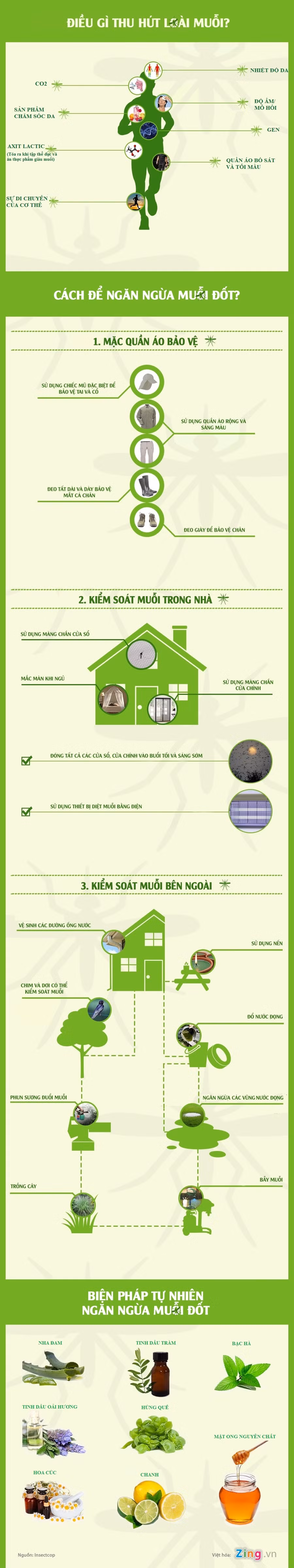Mẹo phòng tránh muỗi không dùng hóa chất