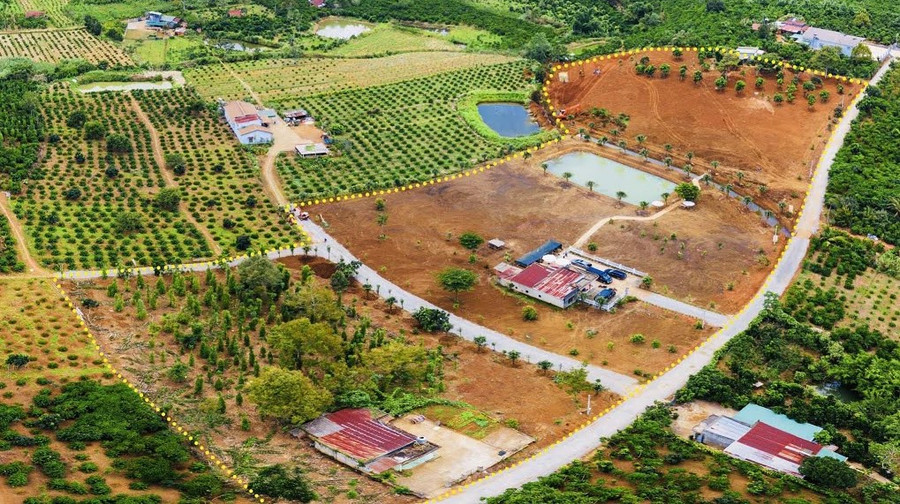 Lâm Đồng sẽ thanh tra việc cấp Giấy chứng nhận quyền sử dụng đất đối với một số Văn phòng đăng ký đất đai trên địa bàn tỉnh. (Ảnh minh họa)