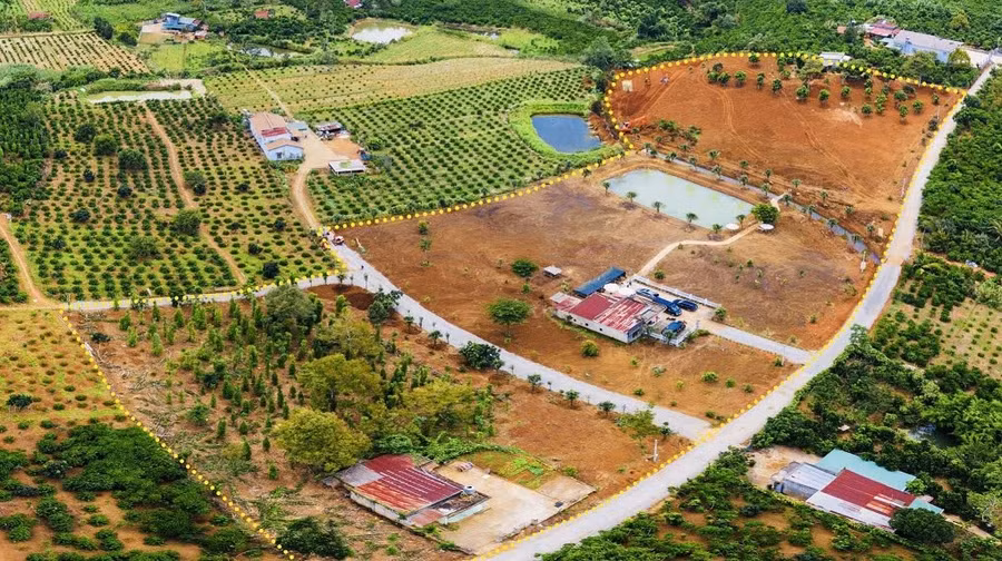 Lâm Đồng sẽ thanh tra việc cấp Giấy chứng nhận quyền sử dụng đất đối với một số Văn phòng đăng ký đất đai trên địa bàn tỉnh. (Ảnh minh họa)