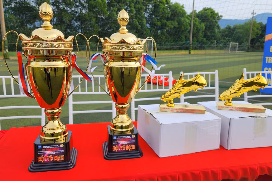 Phần thưởng dành cho các đội đạt giải và các cầu thủ xuất sắc. Phần thưởng dành cho các đội đạt giải và các cầu thủ xuất sắc.