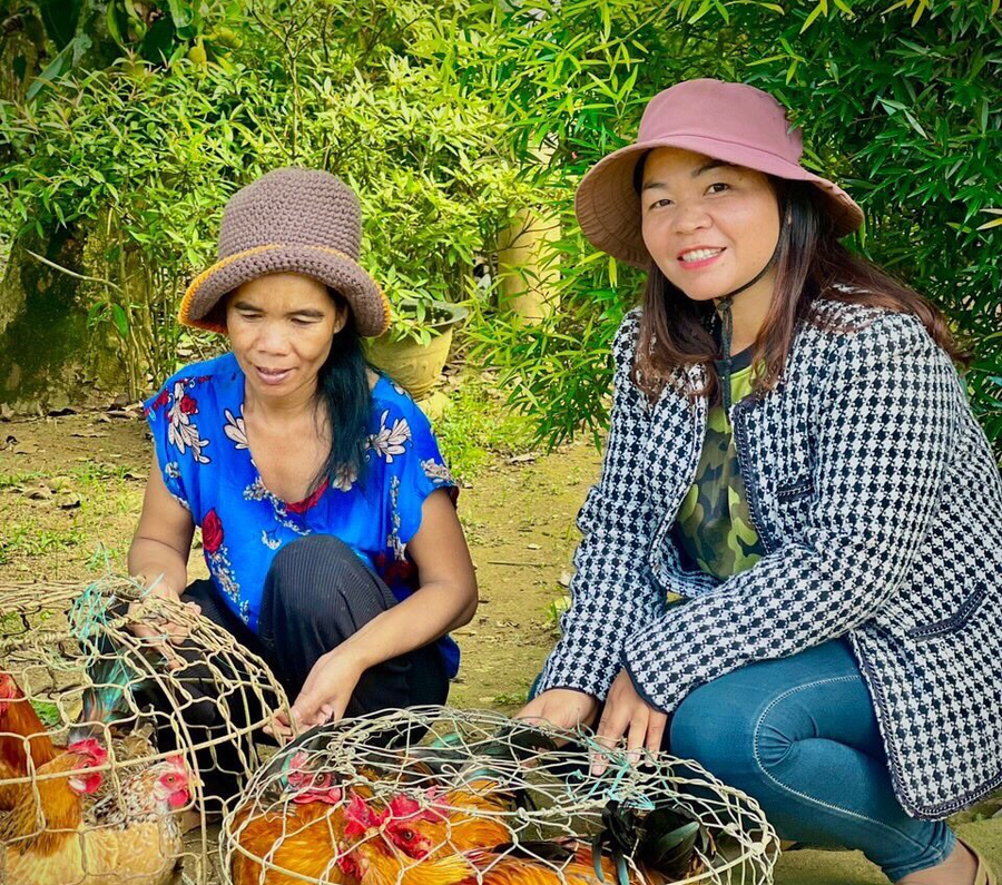 Hỗ trợ sinh kế gà giống cho hội viên phụ nữ nghèo tại huyện A Lưới.