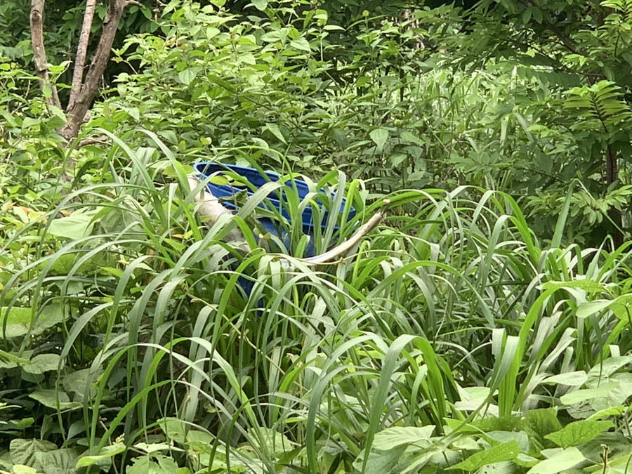 Nỗi ám ảnh và cuộc sống quanh hiện trường vụ án giết người bỏ xác vào thùng bê tông - Ảnh 9. Nỗi ám ảnh và cuộc sống quanh hiện trường vụ án giết người bỏ xác vào thùng bê tông - Ảnh 9.