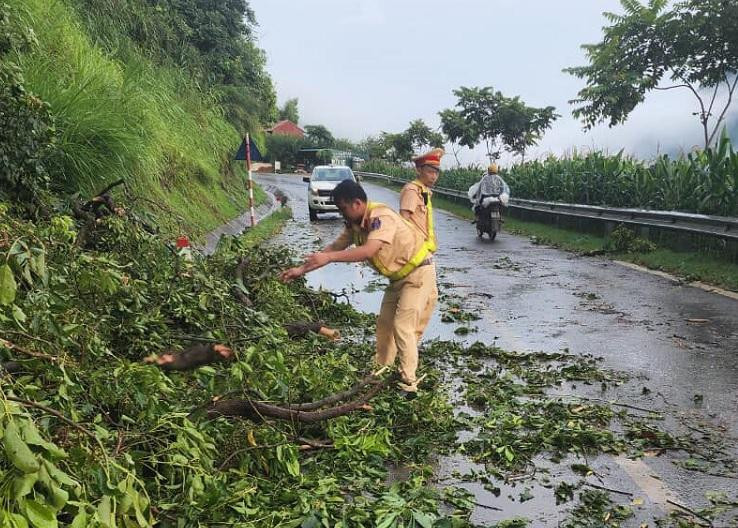 Lực lượng CSGT huyện Bắc Yên dầm mưa dọn dẹp cây cối gãy đổ, gây cản trở giao thông trên QL 37.