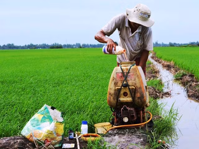 Mỗi năm 200.000 tấn thuốc BVTV ngấm vào môi trường