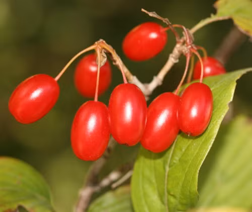 Điều trị di chứng tai biến mạch máu não