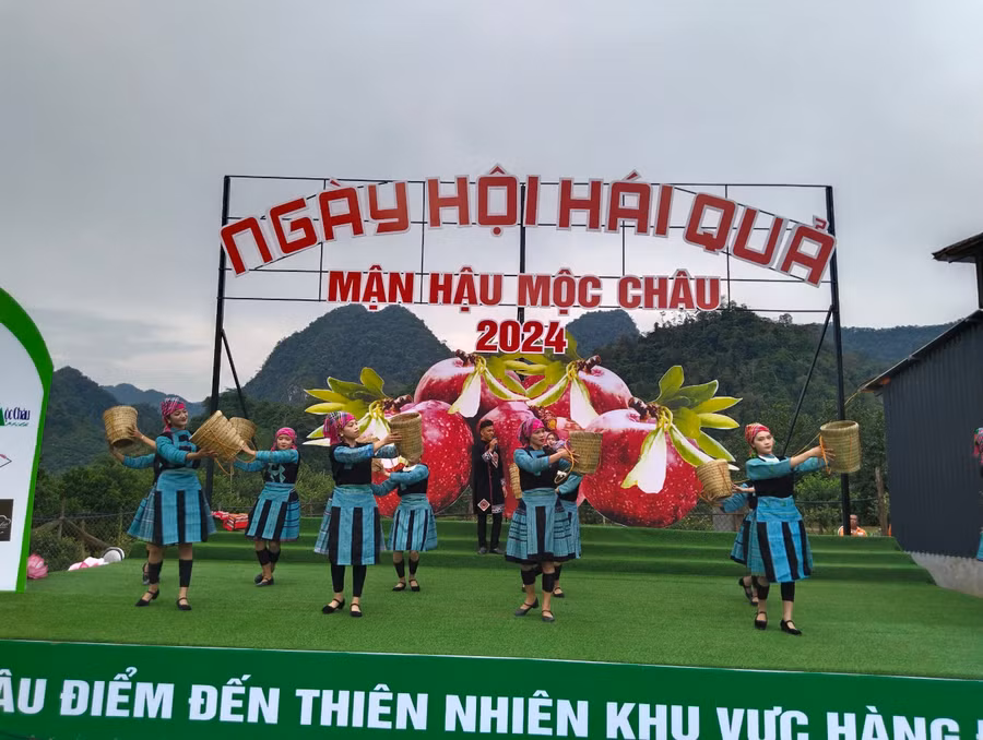 Tiết mục văn nghệ diễn ra tại ngày hội hái mận hậu.