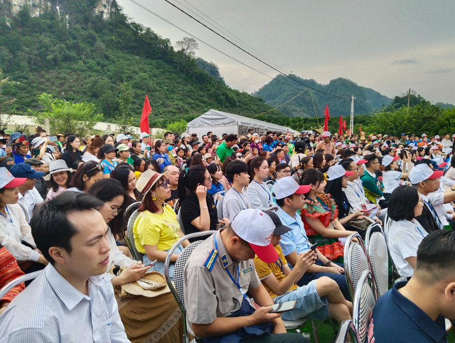 Đông đảo người dân tham gia ngày hội hái quả mận hậu.