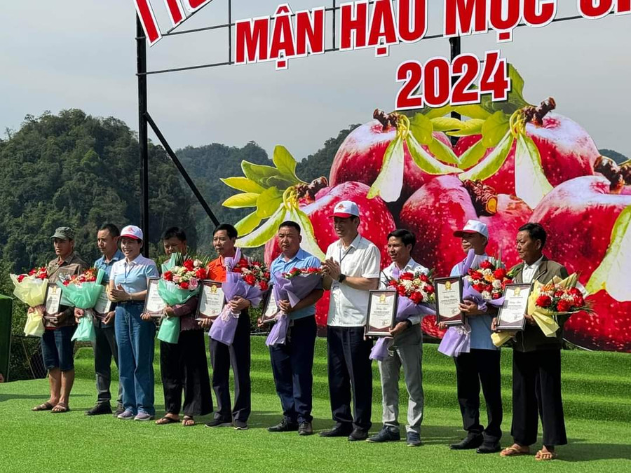 Ban tổ chức vinh danh những hộ trồng mận tiêu biểu và các đội thi tham gia trò chơi tại ngày hội hái mận.