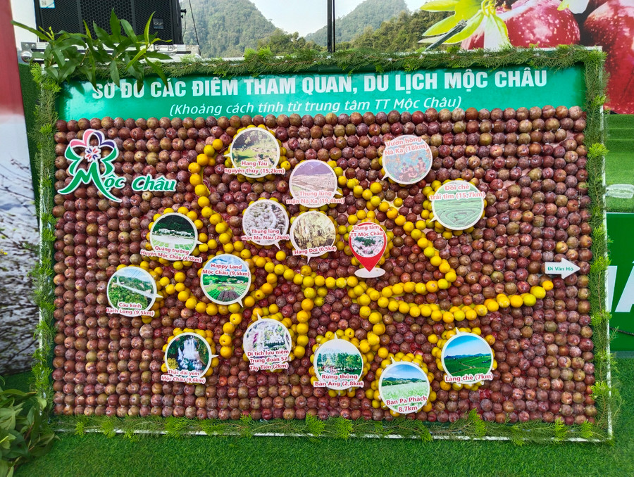 Sơ đồ các điểm du lịch tại Mộc Châu được xếp bằng mận hậu.