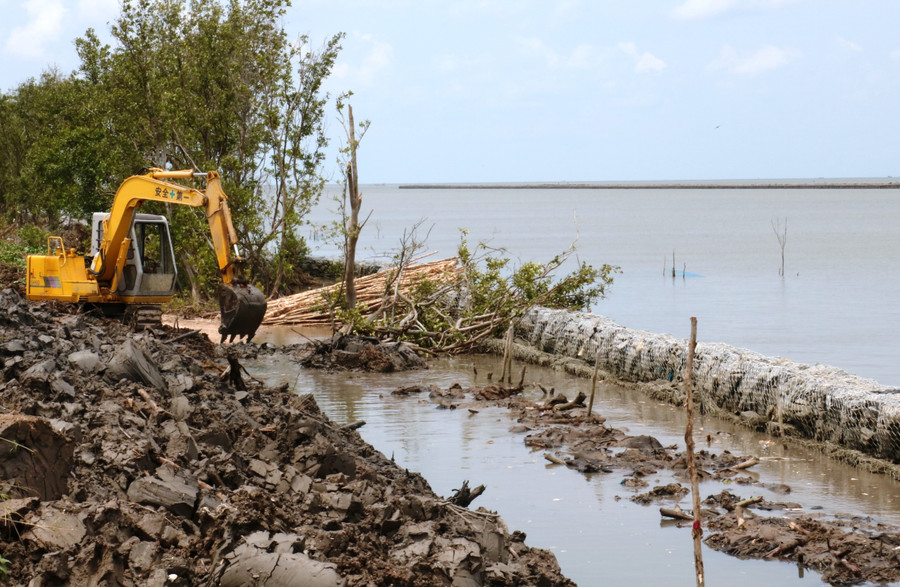 Gia cố đê bị sạt lở tại tỉnh Cà Mau.