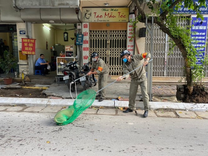 Phường Trúc Bạch tuyên truyền, xử lý bắt chó thả rông trên địa bàn phường.