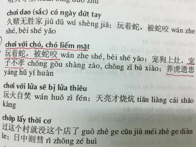 Những câu thành ngữ được cho là làm người dùng dễ hiểu nhầm về bản chất.