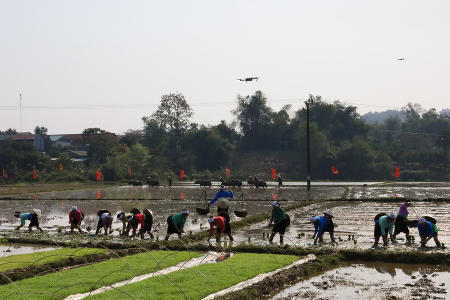 Lễ hội người dân xuống đồng cấy lúa, cầu cho một mùa màng tươi tốt, lúa vàng bội thu, năm mưa thuận, gió hòa.
