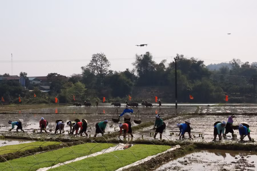 Lễ hội người dân xuống đồng cấy lúa, cầu cho một mùa màng tươi tốt, lúa vàng bội thu, năm mưa thuận, gió hòa.