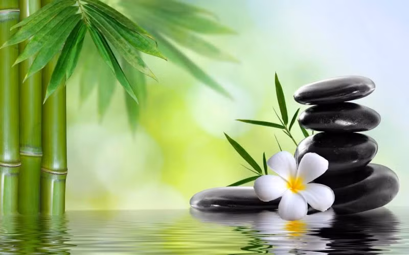 Ảnh minh họa/INT