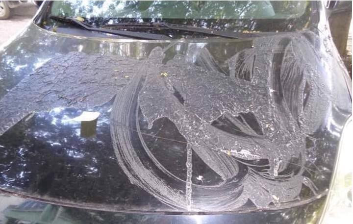 Theo nhận định của hãng bảo đưỡng đây là dung dịch tẩy sơn.