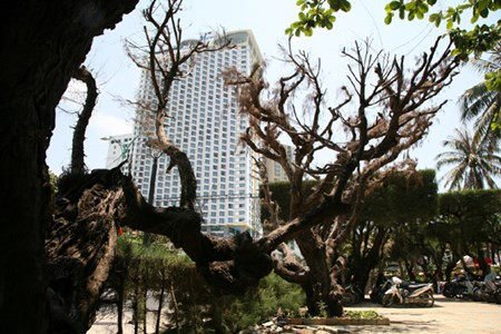 Dap bo cong trinh nhech nhac “xe thit” bo bien Nha Trang