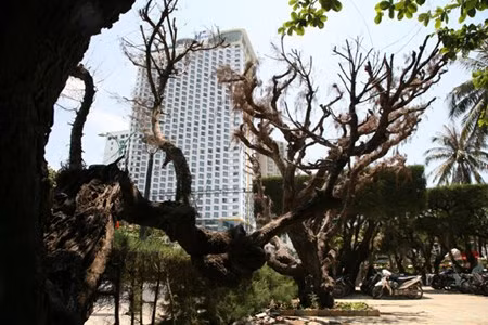 Dap bo cong trinh nhech nhac “xe thit” bo bien Nha Trang