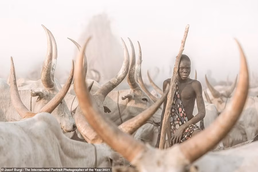 Bức ảnh đẹp mê hồn về người chăn gia súc ở Nam Sudan đã chiến thắng ở hạng mục Chân dung môi trường được chụp bởi nhiếp ảnh gia Josef Burgi (Thụy Sĩ).