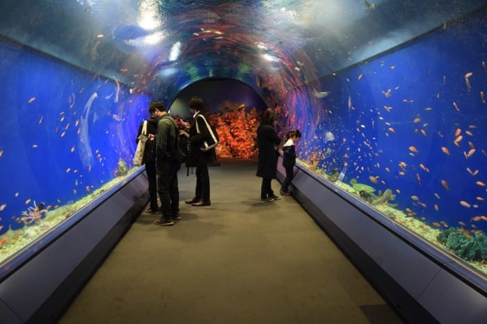 Con đường vào Thủy cung với 8 tầng huyền bí và sinh động