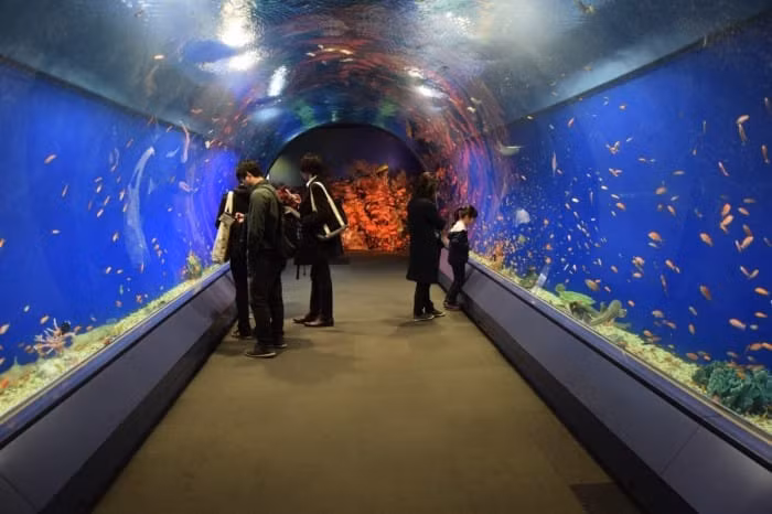 Con đường vào Thủy cung với 8 tầng huyền bí và sinh động