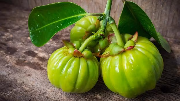 Thành phần Garcinia Cambogia có trong một loại trái cây nhiệt đới, họ măng cụt, có hình dạng giống quả bí ngô nhỏ. 