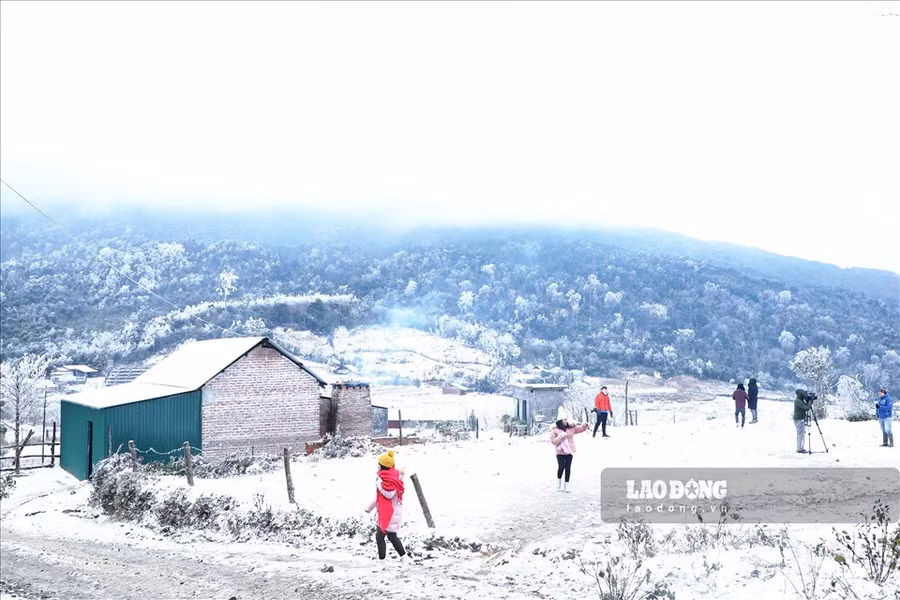 Nhiều người đã đến chiêm ngưỡng những cành cây đóng băng, chạm tay vào lớp tuyết phủ dày. Ảnh: Lao động