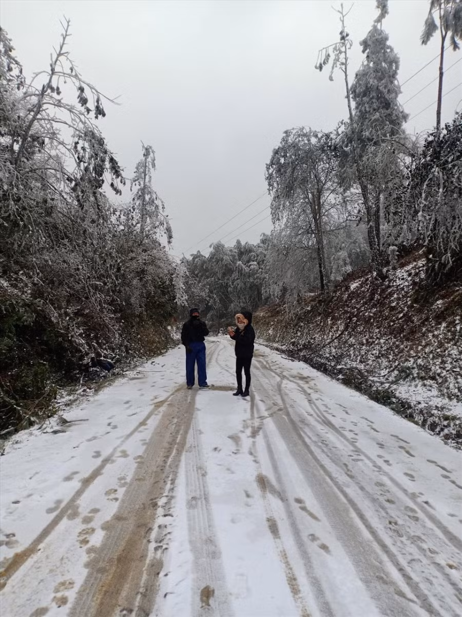 Trung tâm Dự báo Khí tượng Thủy văn Quốc gia cho biết, trong hôm nay 11/1, Bắc Bộ và các tỉnh từ Thanh Hoá đến Thừa Thiên Huế trời tiếp tục rét hại với nhiệt độ thấp nhất 7 - 10 độ C, vùng núi 4 - 7 độ C. Vùng núi cao có nơi dưới 0 độ C và có khả năng tiếp tục xảy ra mưa tuyết, băng giá. Ảnh: Luy Xá Xuy.