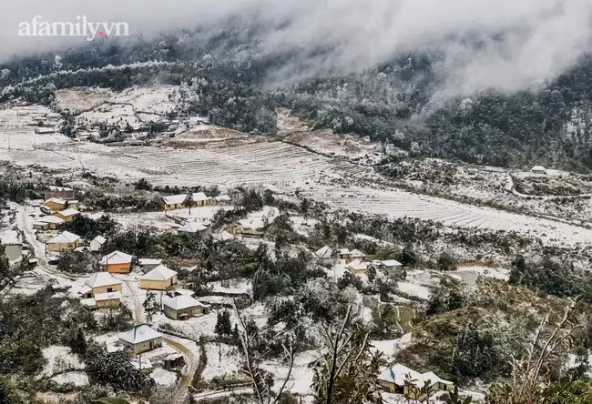 Theo người dân địa phương, tuyết rơi tại Y Tý và Sapa từ đêm 10/1 đến sáng 11/1. Nhiệt độ tại đây hiện đã xuống dưới 0 độ C. Đây đã là ngày thứ năm của đợt rét đậm, rét hại đầu năm 2021 và là đợt đầu tiên có tuyết rơi trong năm nay. Ảnh: Afamily