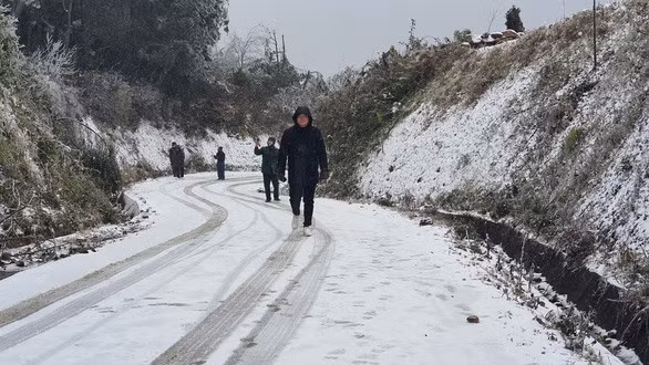 Mưa tuyết phủ trắng đường đi, cây cối,... tạo nên khung cảnh như đang ở châu Âu. Ảnh: Luy Xá Xuy.