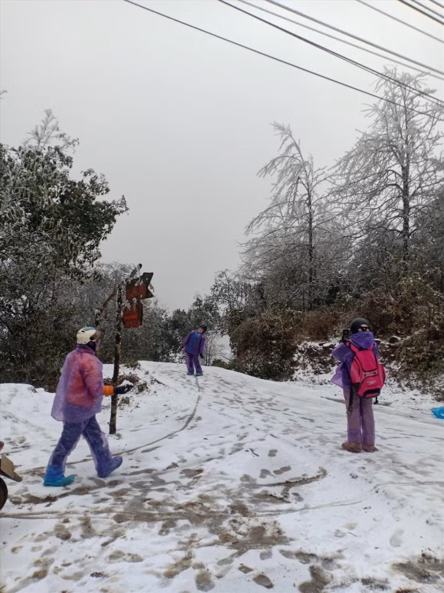 Khung cảnh tuyết phủ trắng kín đường, cây đối, khiến nhiều du khách hào hứng chụp ảnh kỉ niệm. Ảnh: Vũ Thùy Dung.