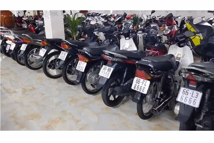 Cụ thể, các mẫu xe máy biển tứ quý có mặt trong bộ sưu tập này bao gồm nhiều loại xe từ sang đến xe số của hãng Honda và các loại xe nổi tiếng của hãng Yamaha như Yamaha Taurus, Yamaha Jupiter...; các xe hãng Suzuki ...