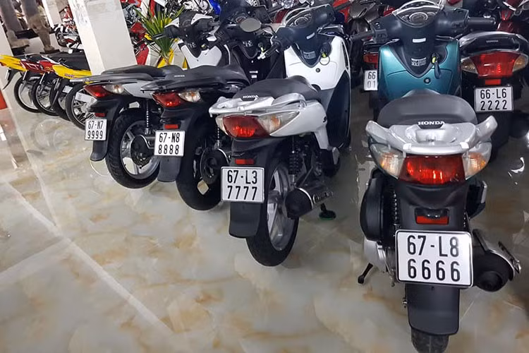 Bất kì loại xe gì, cũng được mua lại không kể xe sang, xe số, do đó, chủng loại cũng như mẫu mã những chiếc xe mang biển số đẹp trong bộ sưu tập xe biển số "khủng" này khá đa dạng.