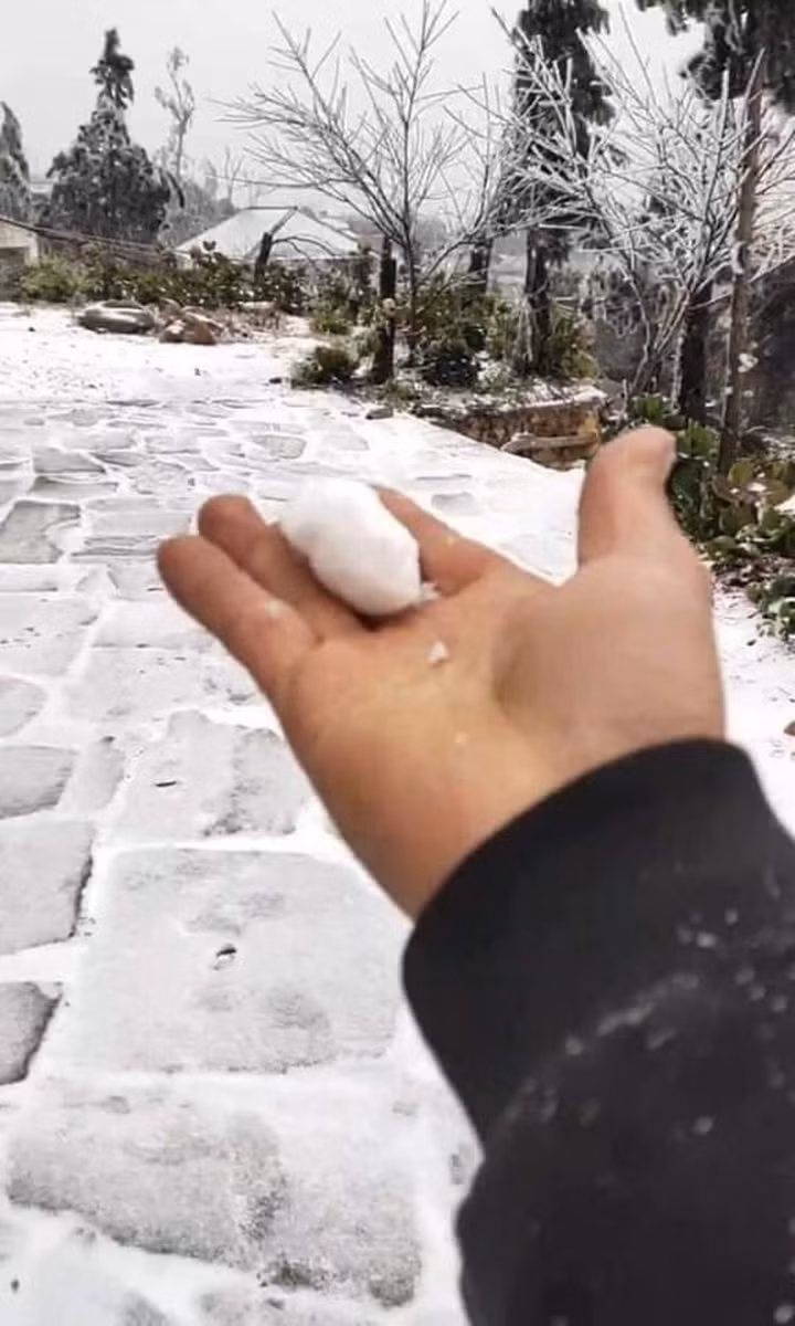 Theo dự báo, mưa tuyết ở Y Tý và dãy Hoàng Liên Sơn sẽ dày hơn, lan tỏa xuống thị xã Sa Pa. Ảnh: Kienthuc.