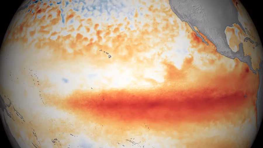 Nhiệt độ đại dương ở vùng nhiệt đới Thái Bình Dương ấm lên do hiện tượng El Nino mạnh vào tháng 1/2016. Ảnh: NOAA